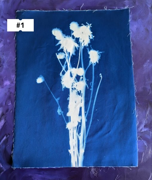Flowers and Thorn Cyanotypes