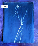 Flowers and Thorn Cyanotypes